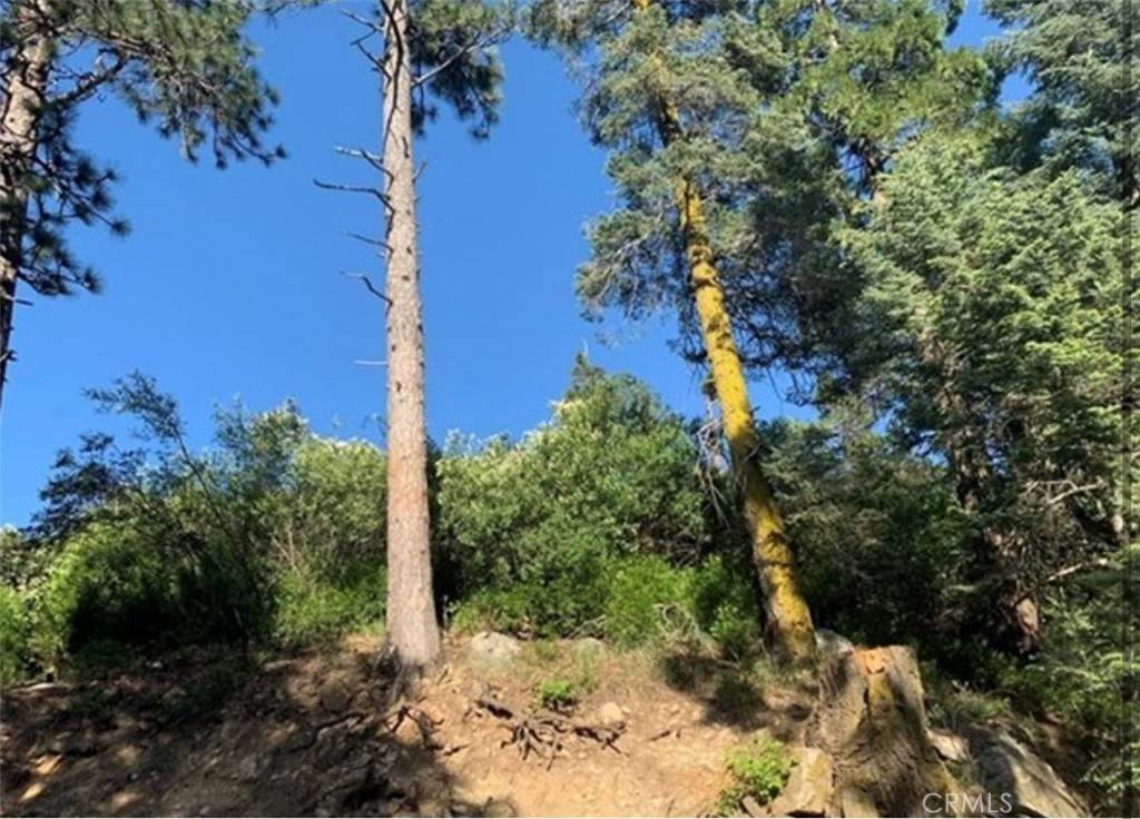 Land for Sale at Sawpit Creek Road Cedarpines Park, California 92321 United States