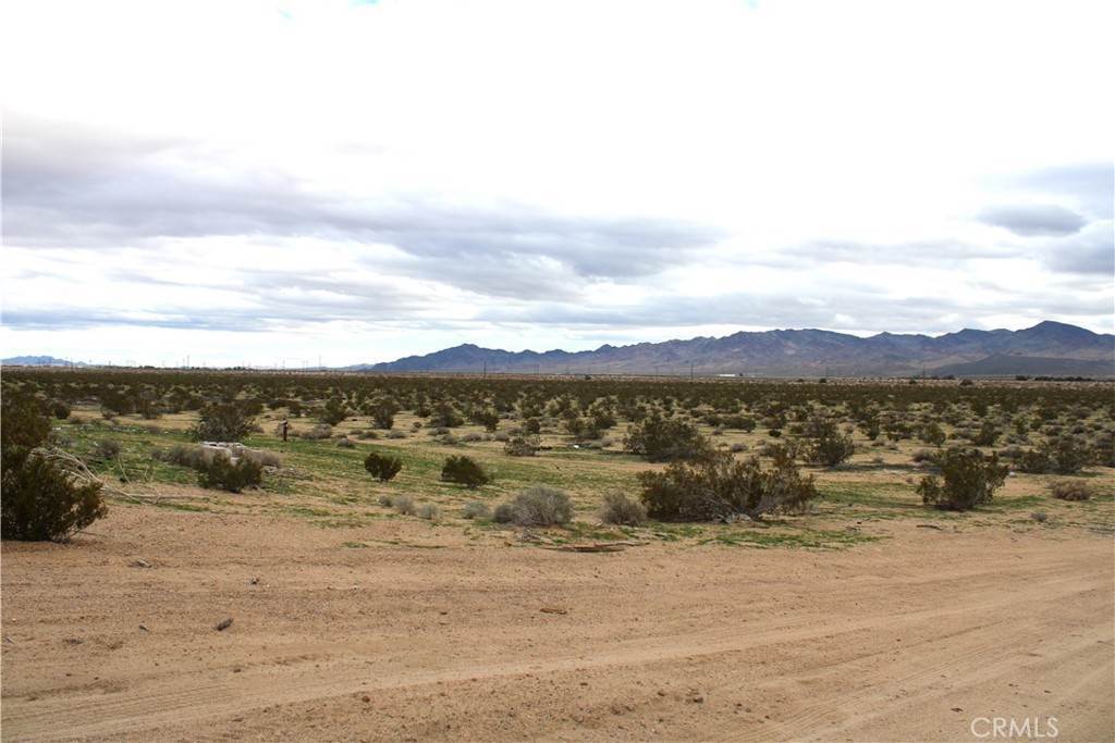 Land for Sale at McCormick Street Yermo, California 92398 United States